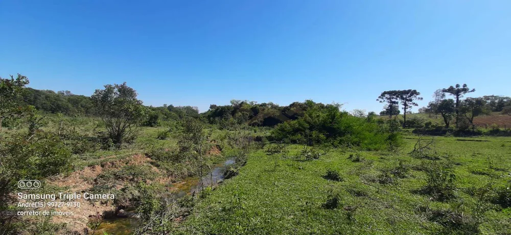 Fazenda, 11 hectares - Foto 6