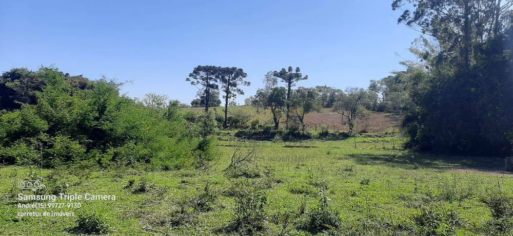 Fazenda, 11 hectares - Foto 4