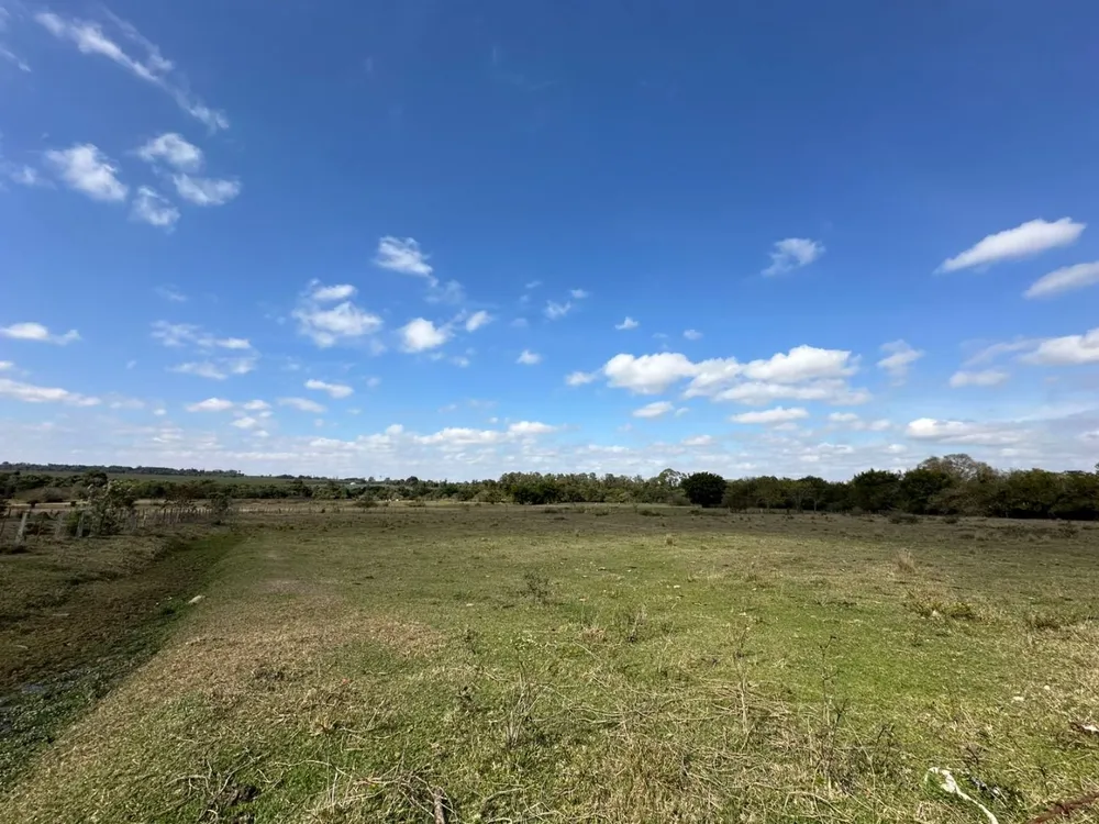 Sítio, 5 quartos, 12 hectares - Foto 13