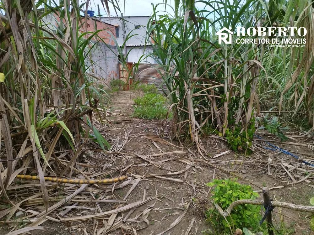 Terreno, 300 m² - Foto 5