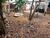 Prédio Inteiro, 300 m² - Foto 2