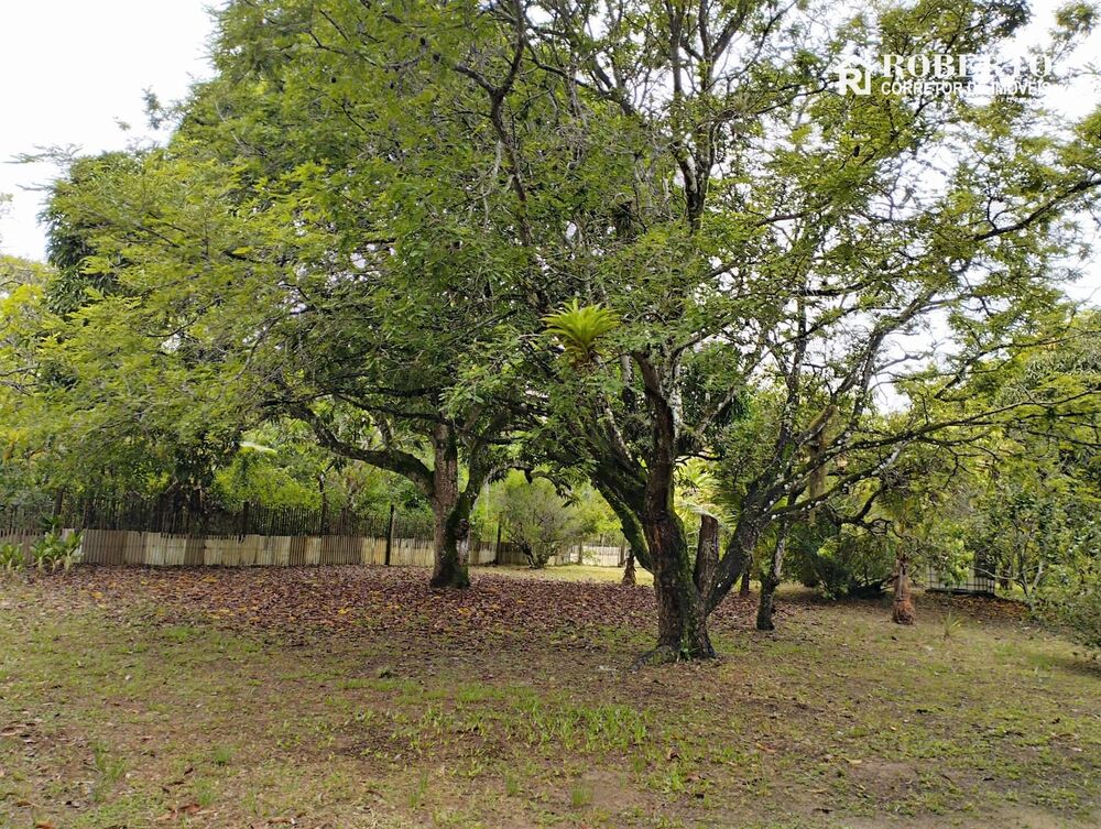 Chácara, 4 quartos, 5010 m² - Foto 2