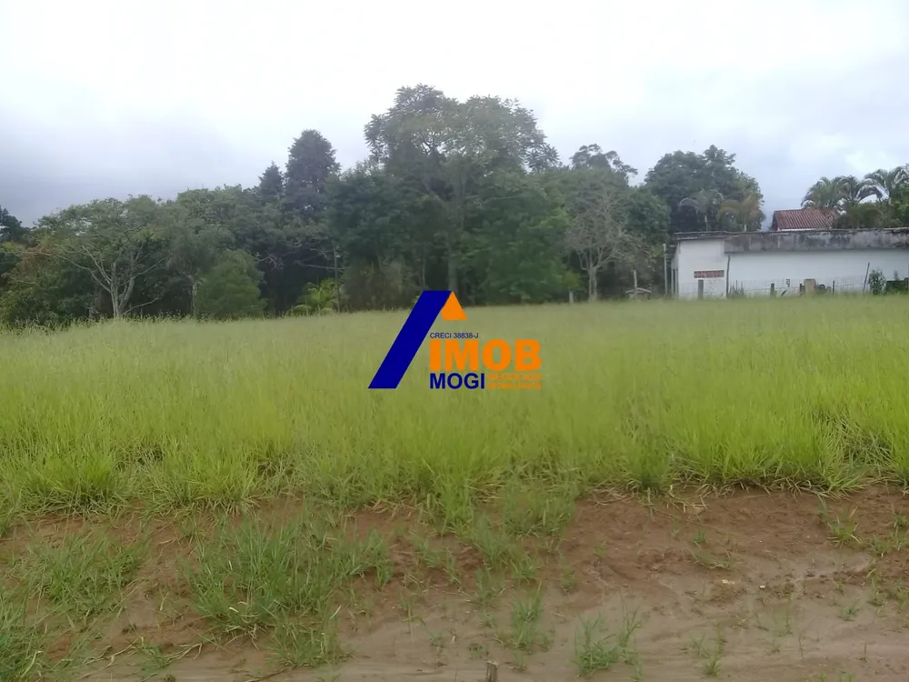 Terreno, 1469 m² - Foto 3