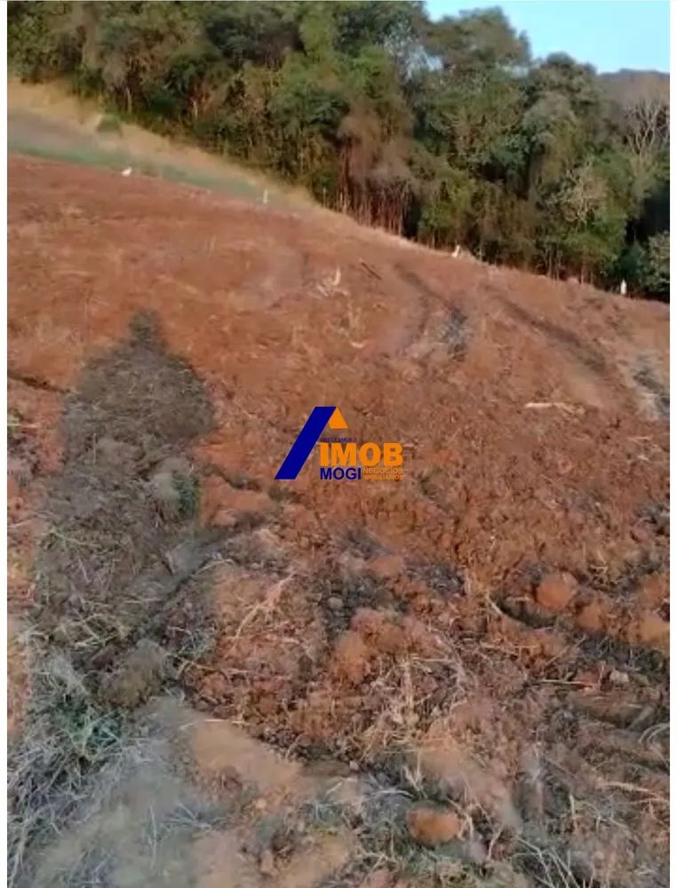 Terreno, 5000 m² - Foto 2