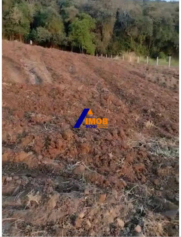 Terreno, 5000 m² - Foto 3