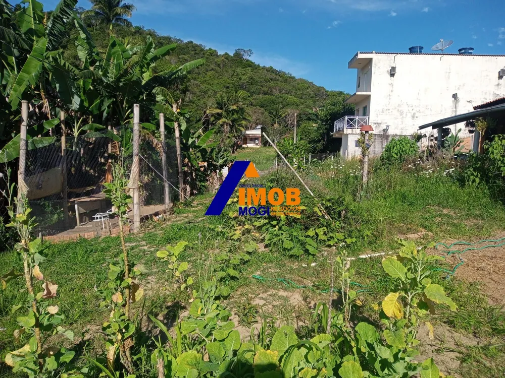 Chácara, 2 quartos, 1580 m² - Foto 3