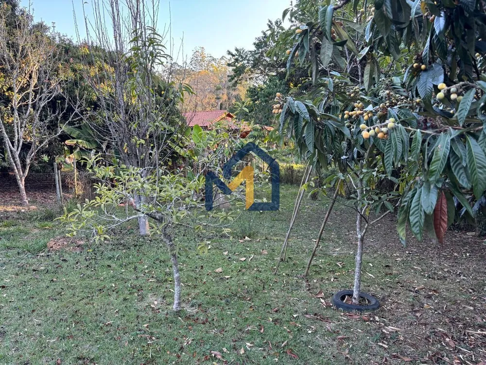 Chácara, 3 quartos, 2500 m² - Foto 13