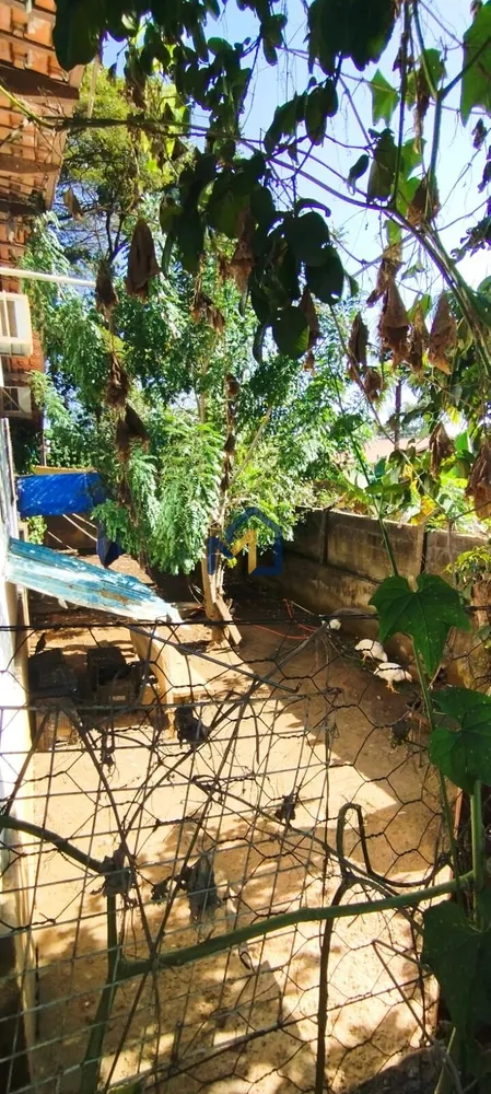 Chácara, 4 quartos, 1200 m² - Foto 9
