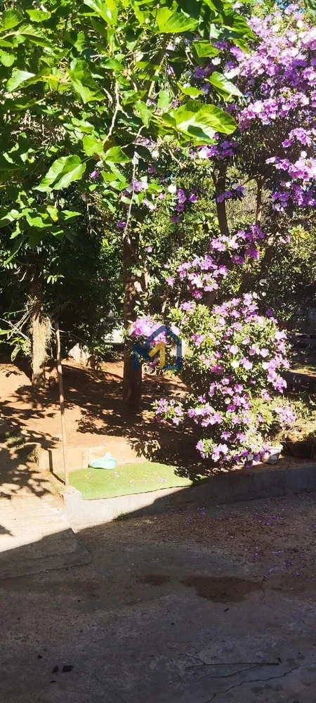 Chácara, 4 quartos, 1200 m² - Foto 14