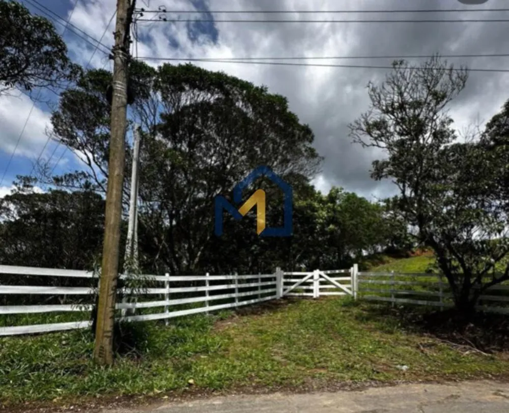 Terreno, 4 hectares - Foto 4