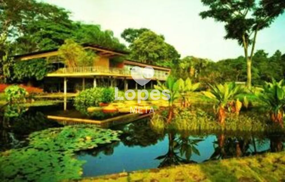 Sítio, 4 quartos, 7 hectares - Foto 6