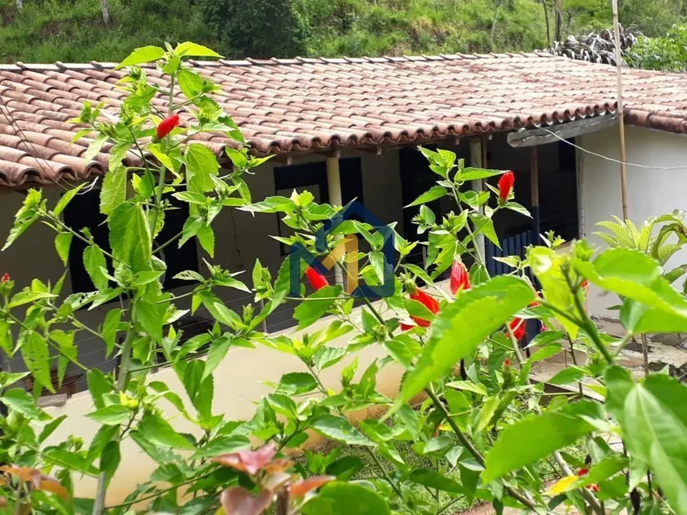 Sítio, 4 quartos, 7 hectares - Foto 17
