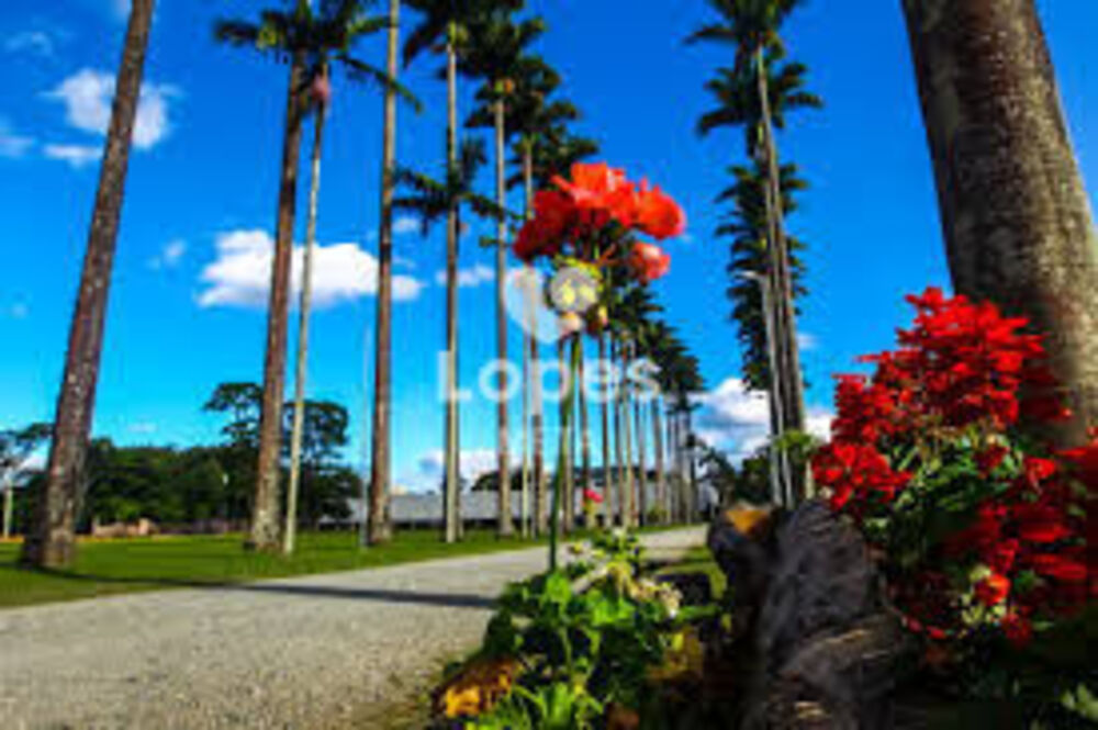 Terreno, 62 m² - Foto 8