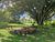 Terreno, 540 m² - Foto 4