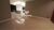 Apartamento, 3 quartos, 480 m² - Foto 4