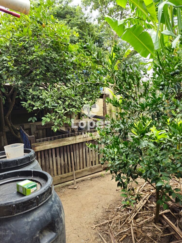 Chácara, 4 quartos, 600 m² - Foto 12