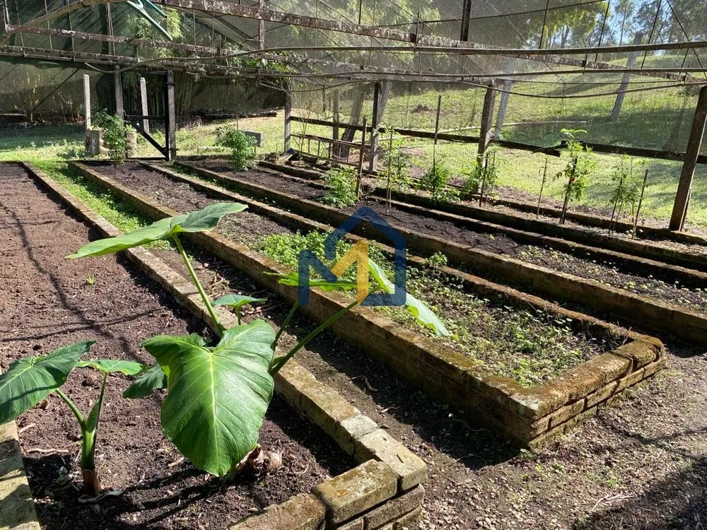 Sítio, 6 quartos, 3 hectares - Foto 32