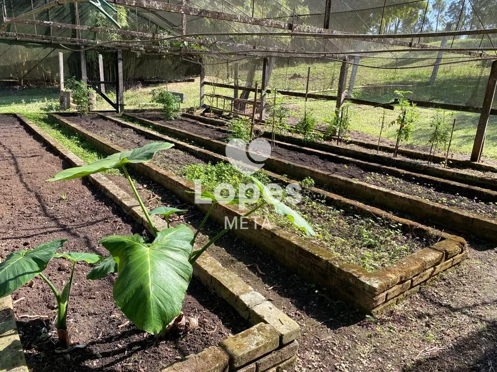 Sítio, 6 quartos, 3 hectares - Foto 16