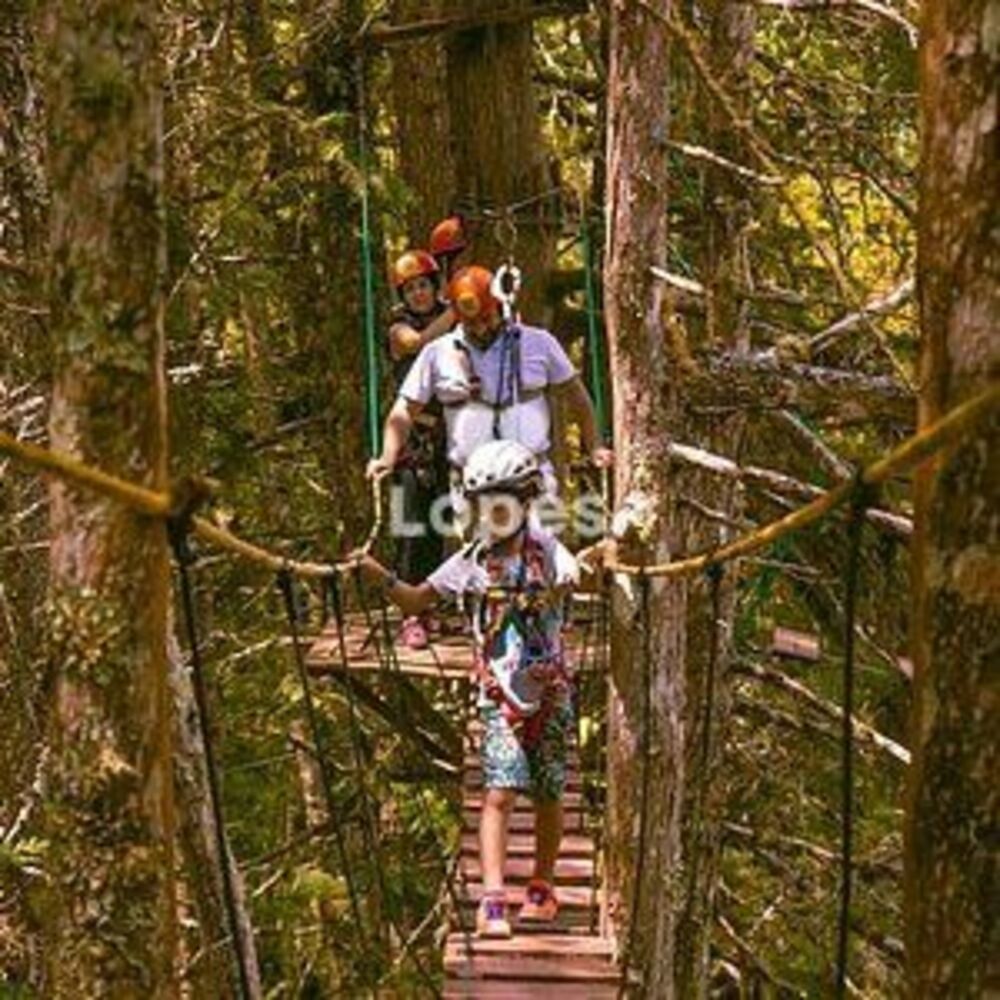 Terreno, 660 m² - Foto 8