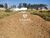 Terreno, 218 m² - Foto 3