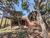Terreno, 150 m² - Foto 10