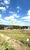 Terreno, 800 m² - Foto 11
