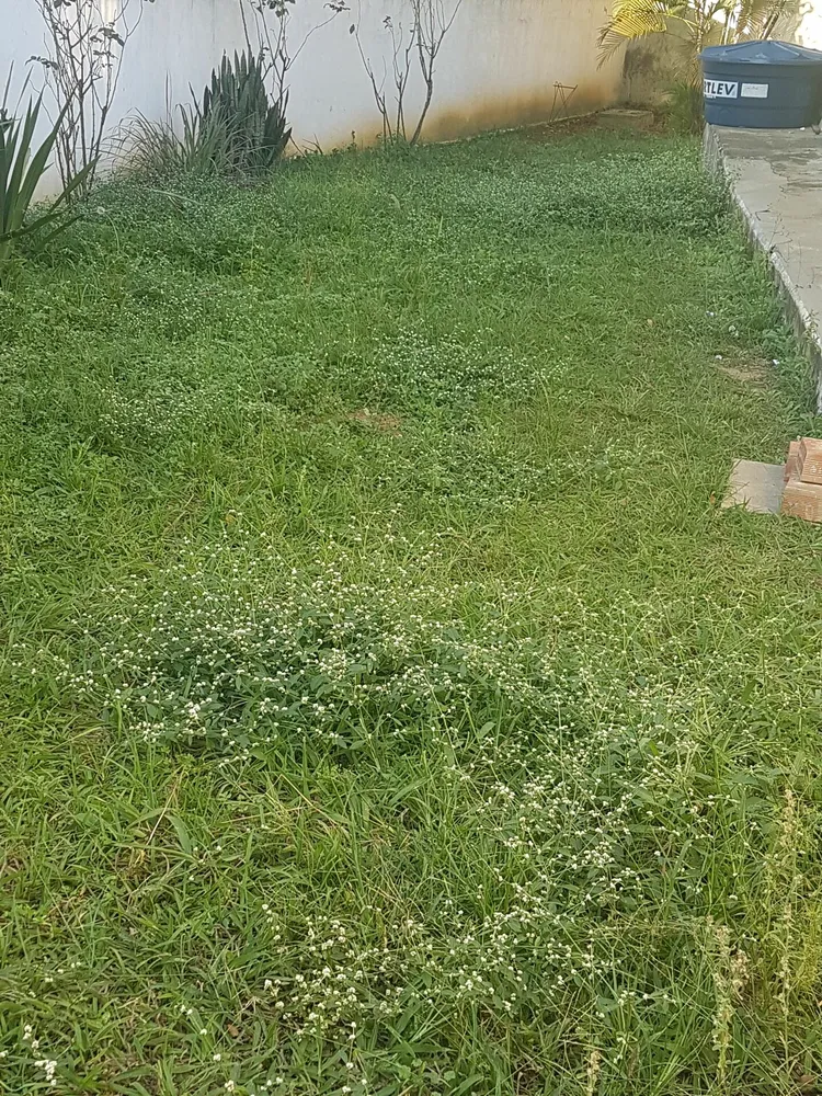 Casa, 2 quartos, 320 m² - Foto 5