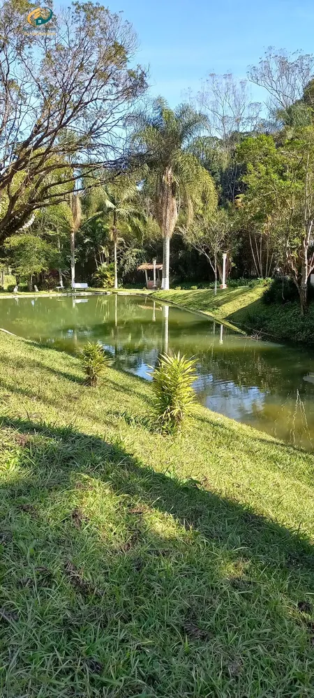 Chácara, 7 quartos, 3 hectares - Foto 17