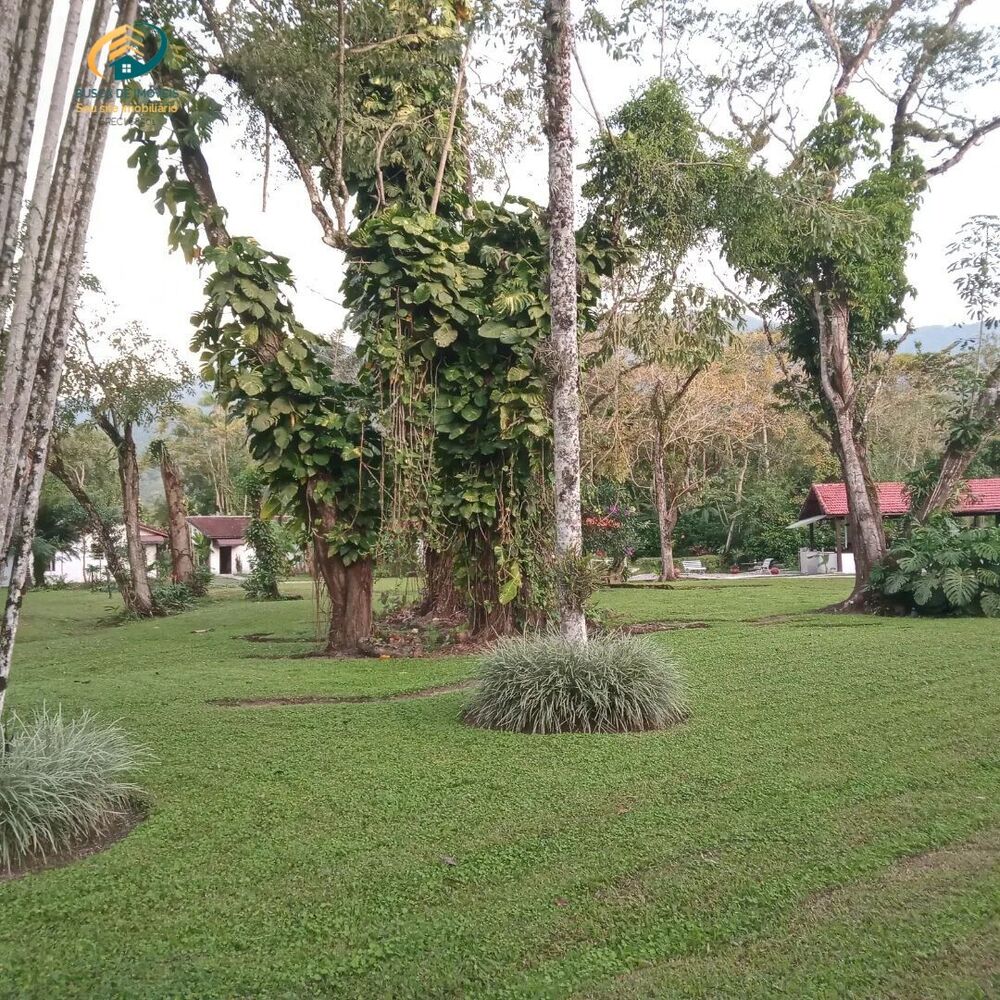 Terreno, 12 hectares - Foto 3