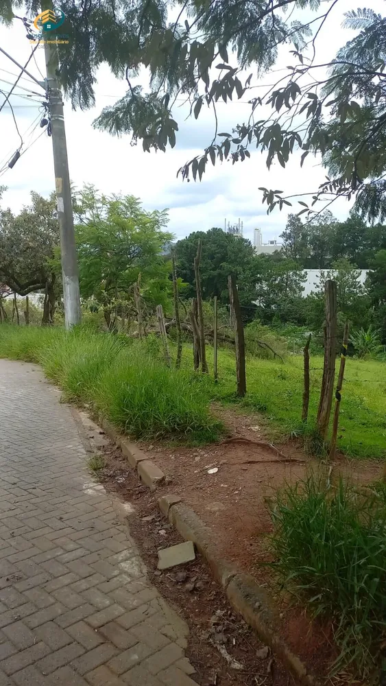 Terreno, 12 hectares - Foto 3