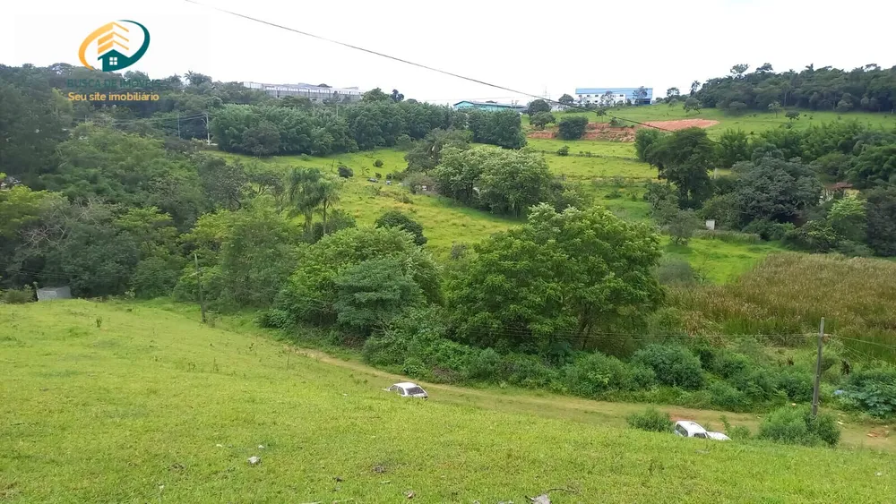 Terreno, 12 hectares - Foto 6