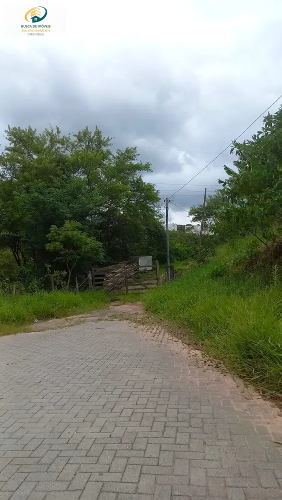Terreno, 12 hectares - Foto 2