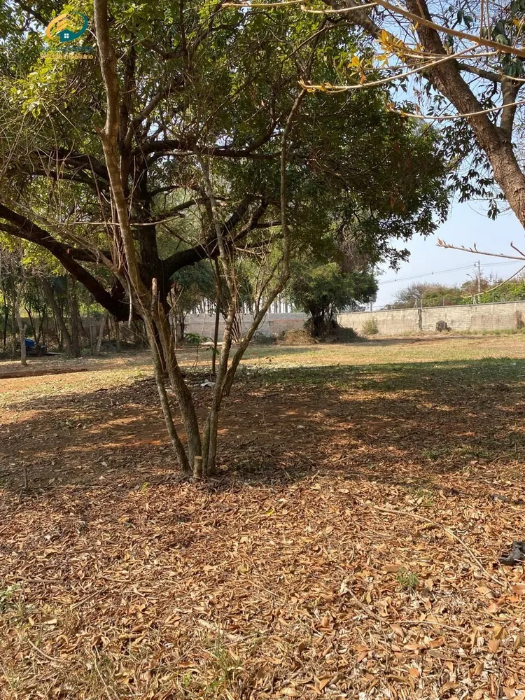 Terreno, 5000 m² - Foto 6