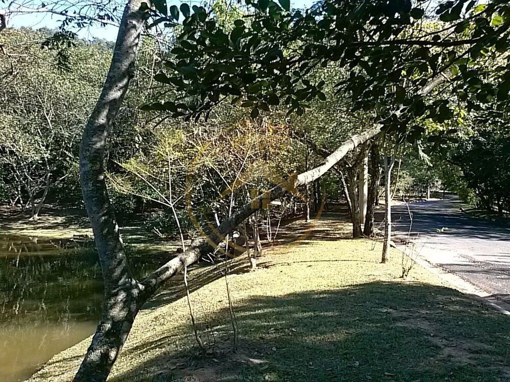 Casa, 3 quartos, 300 m² - Foto 4