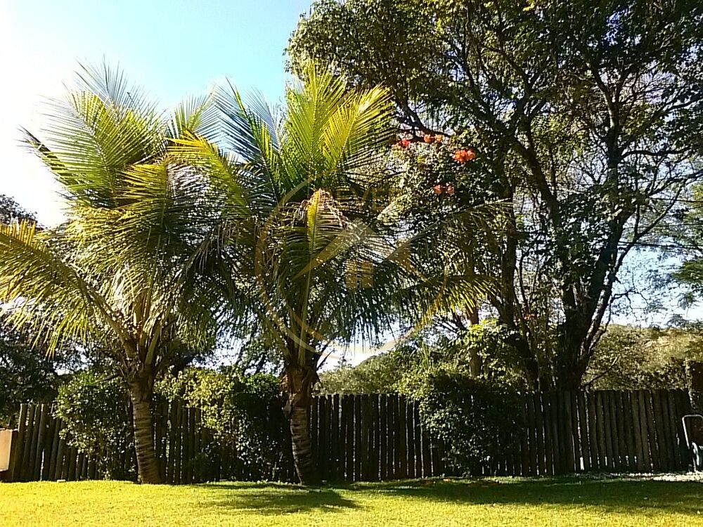 Casa, 3 quartos, 300 m² - Foto 1