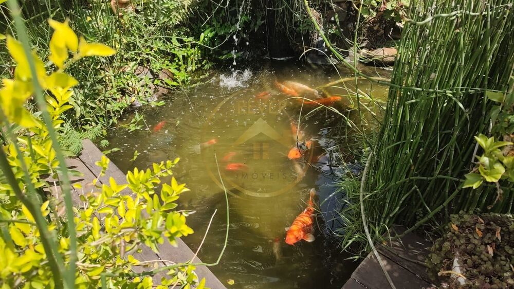 Apartamento, 3 quartos, 50 m² - Foto 4