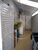 Casa, 4 quartos, 310 m² - Foto 13