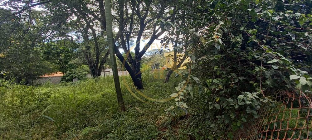 Terreno, 578 m² - Foto 4