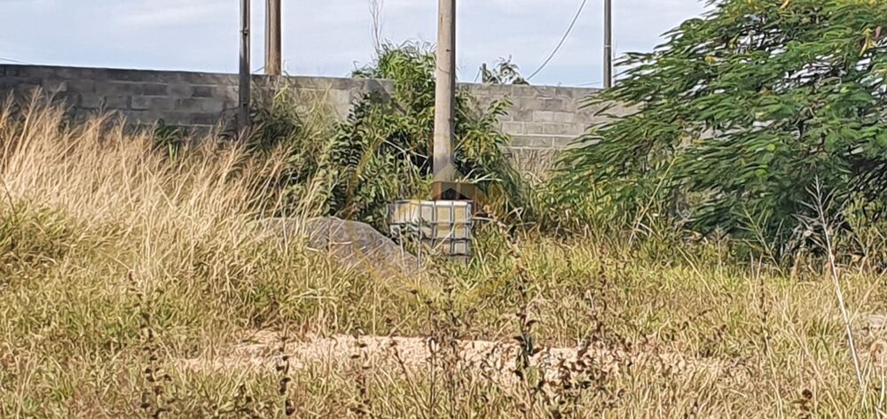 Prédio Inteiro, 850 m² - Foto 7