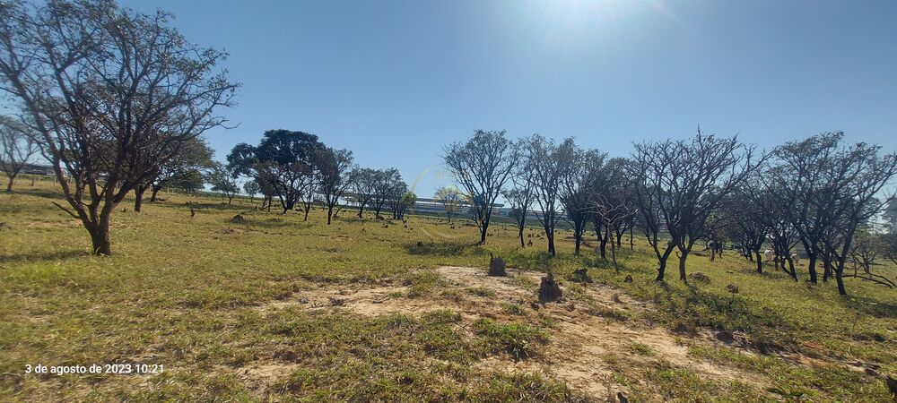 Terreno, 3 hectares - Foto 4