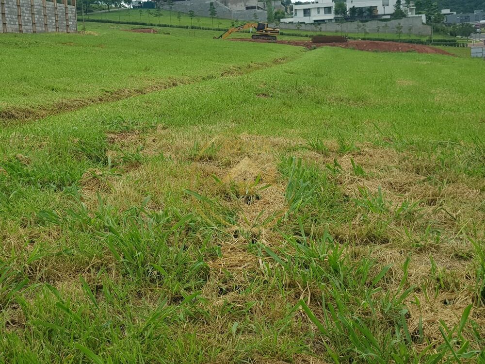 Terreno, 1200 m² - Foto 4