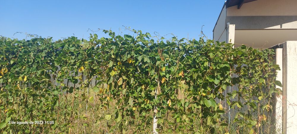 Terreno, 300 m² - Foto 4