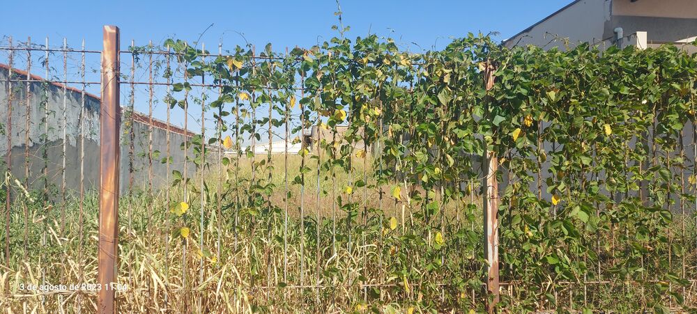 Terreno, 300 m² - Foto 2