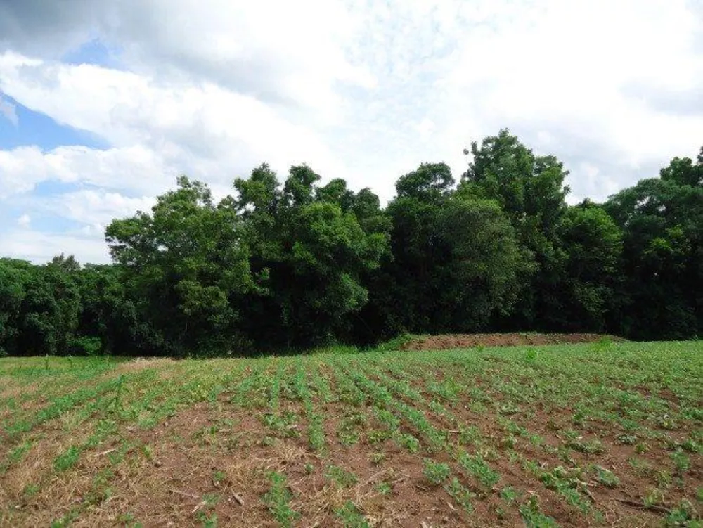 Fazenda à venda - Foto 4