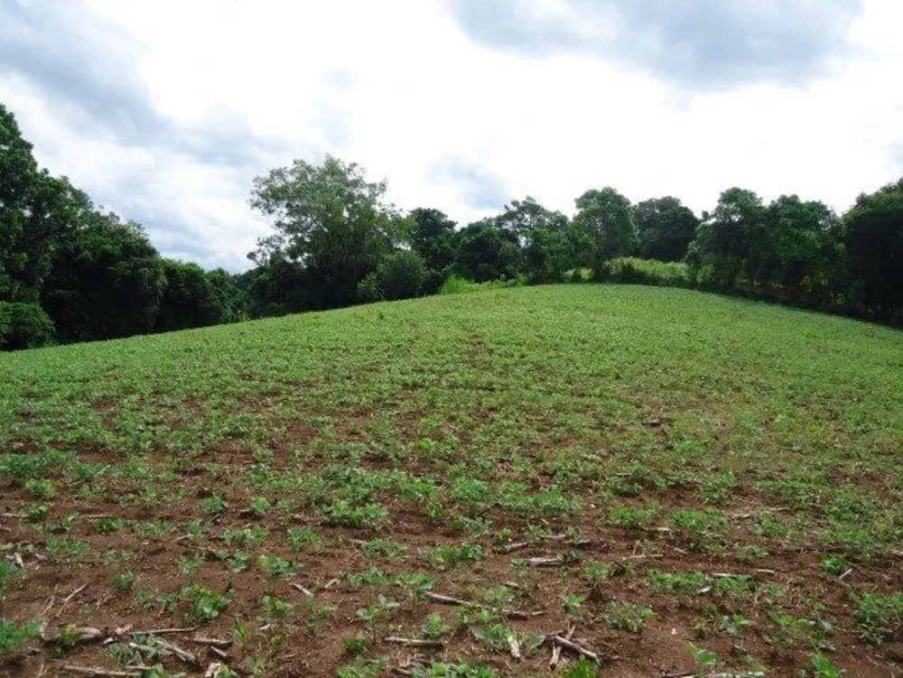 Fazenda à venda - Foto 2