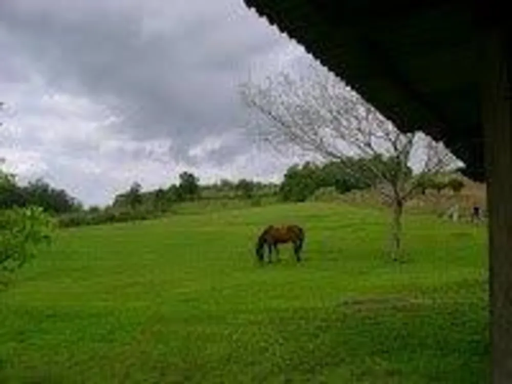 Sítio, 2 quartos - Foto 2
