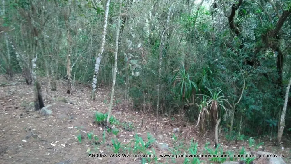Terreno, 2 hectares - Foto 4