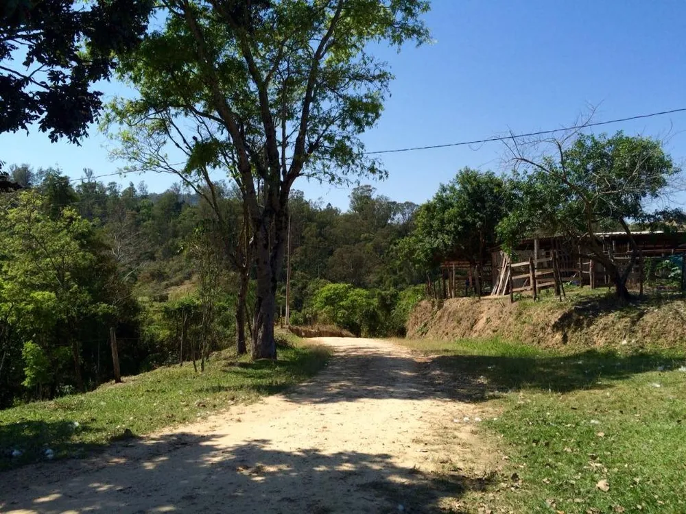 Terreno, 22 hectares - Foto 4