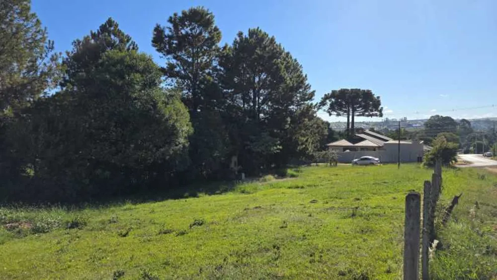 Terreno, 800 m² - Foto 1