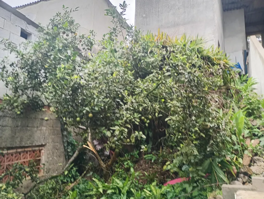 Terreno, 154 m² - Foto 2